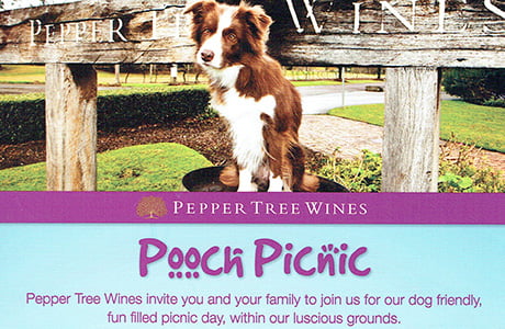 Pooch Picnic @ Pepper Tree Wines