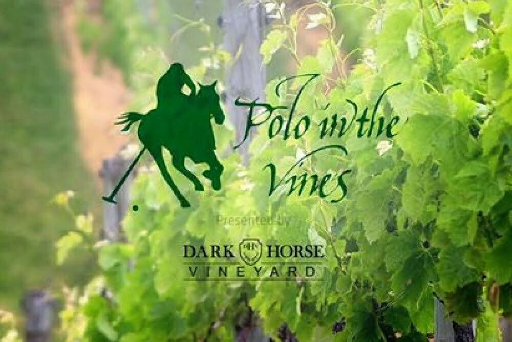 Polo in the Vines