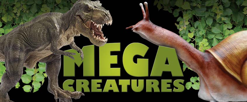 Mega Creatures