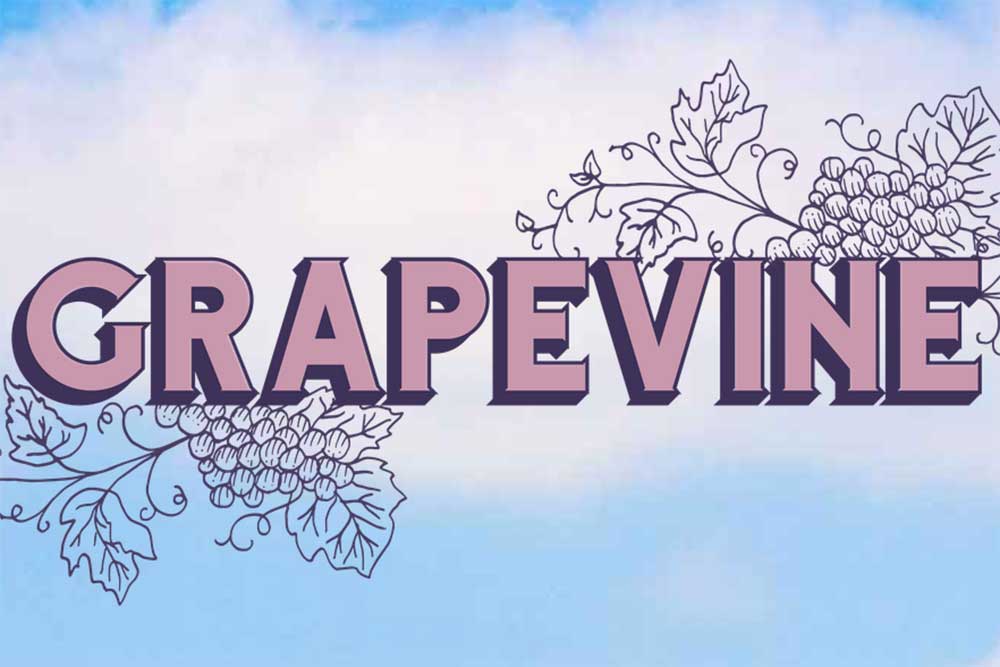 Grapevine Australia's Wine & Music Pairing