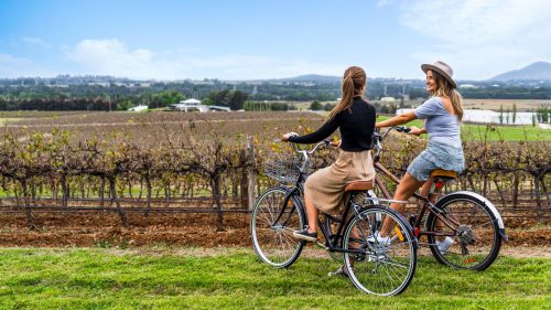 cycling tour hunter valley